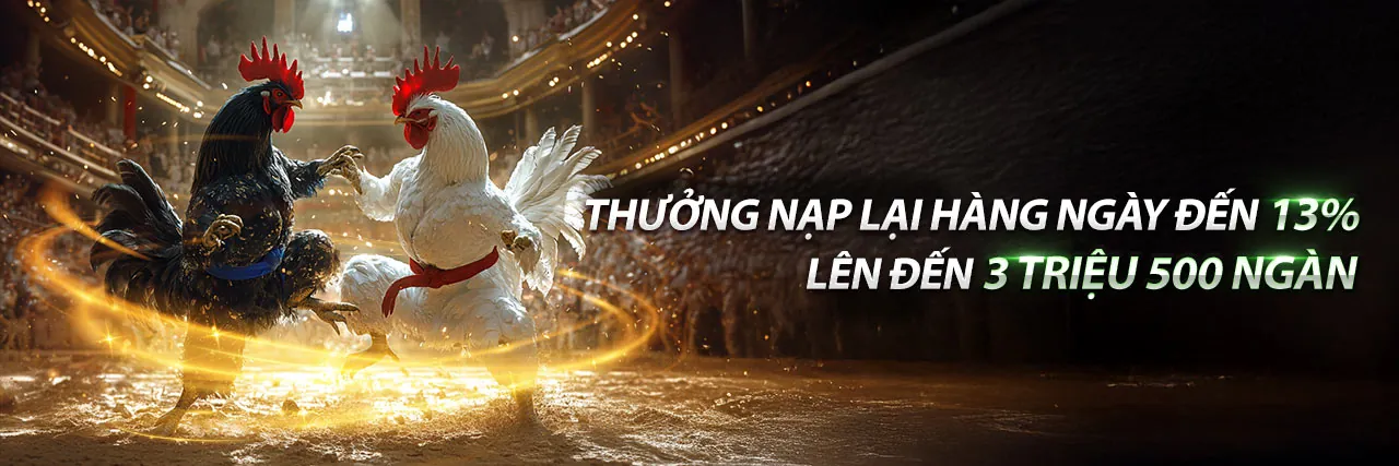 Tin tức nh88 khuyến mãi