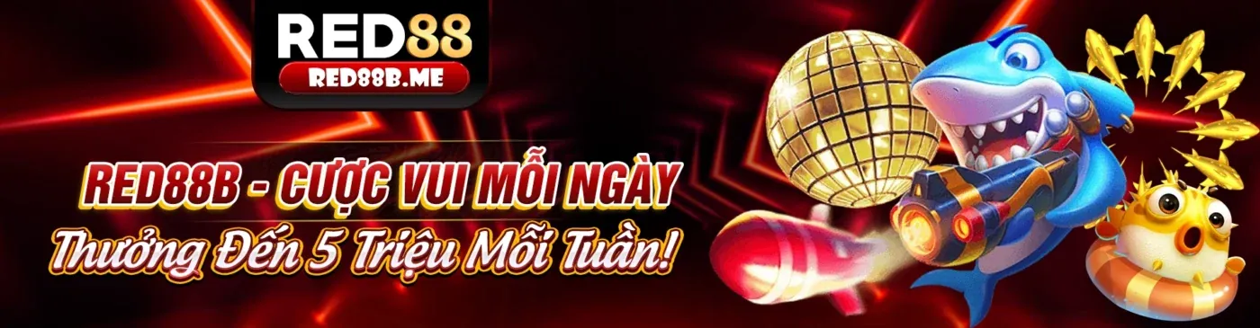 Hình ảnh Chính sách quyền riêng tư của NH88 Khuyến Mãi